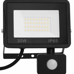 Luminaires-vidaXL Projecteur à LED avec capteur 30 W Blanc froid
