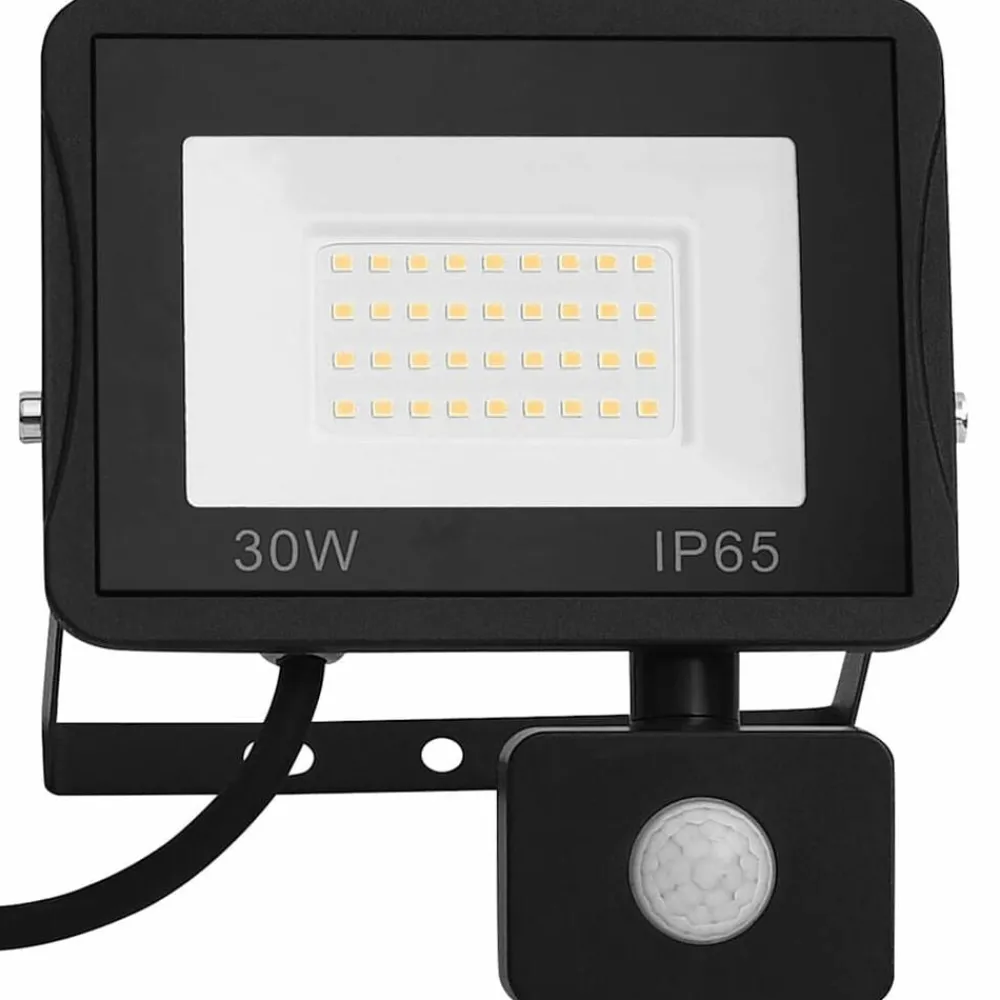 Luminaires-vidaXL Projecteur à LED avec capteur 30 W Blanc froid