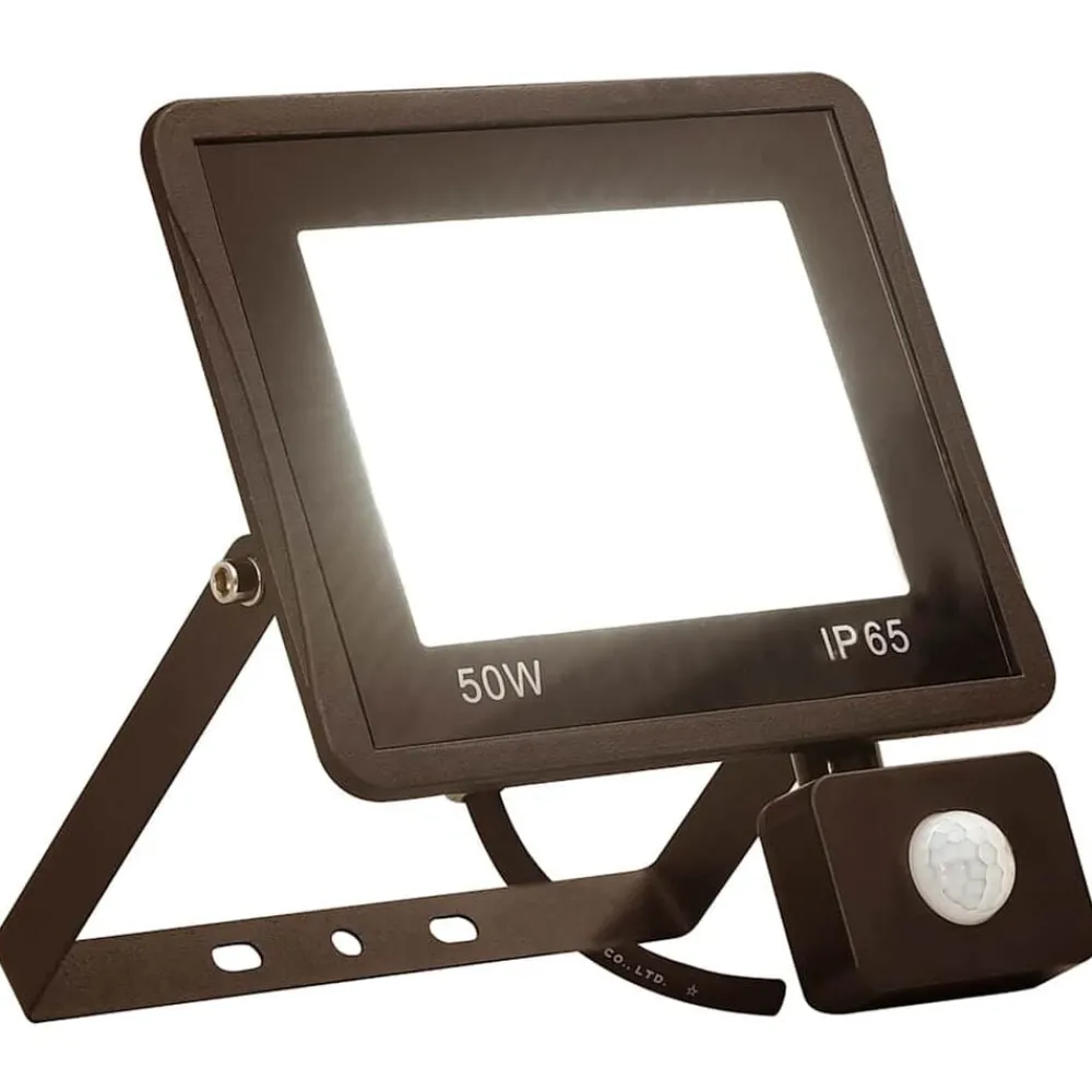 vidaXL Projecteur à LED avec capteur 50 W