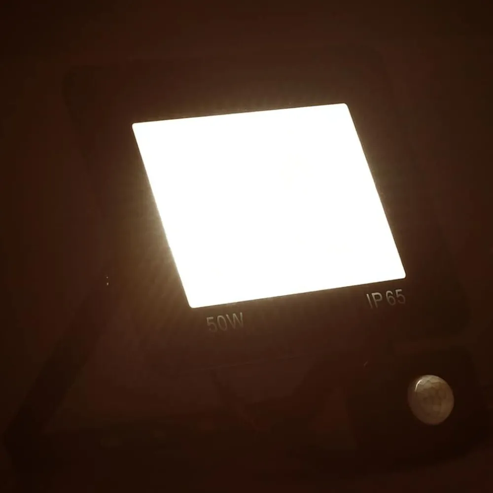 vidaXL Projecteur à LED avec capteur 50 W