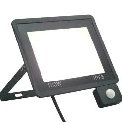 Luminaires-vidaXL Projecteur à LED avec capteur 100 W Blanc froid