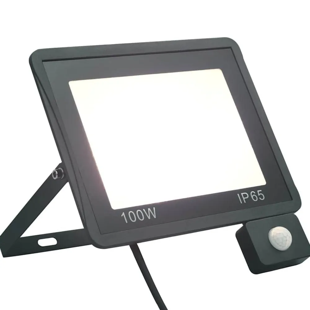 Luminaires-vidaXL Projecteur à LED avec capteur 100 W Blanc froid