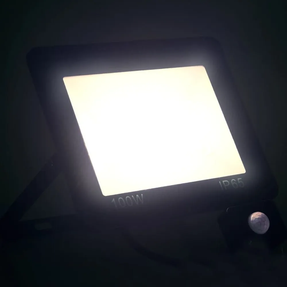 Luminaires-vidaXL Projecteur à LED avec capteur 100 W Blanc froid
