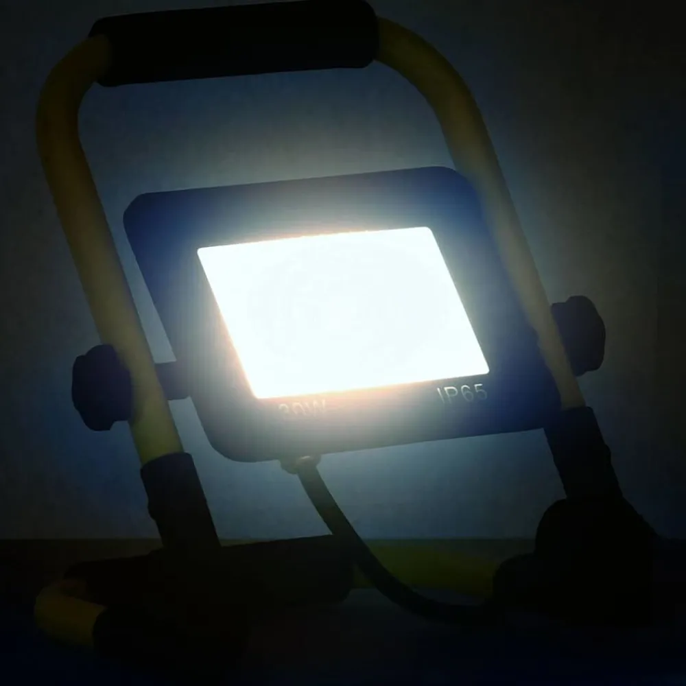 Luminaires-vidaXL Projecteur à LED avec poignée 30 W Blanc froid
