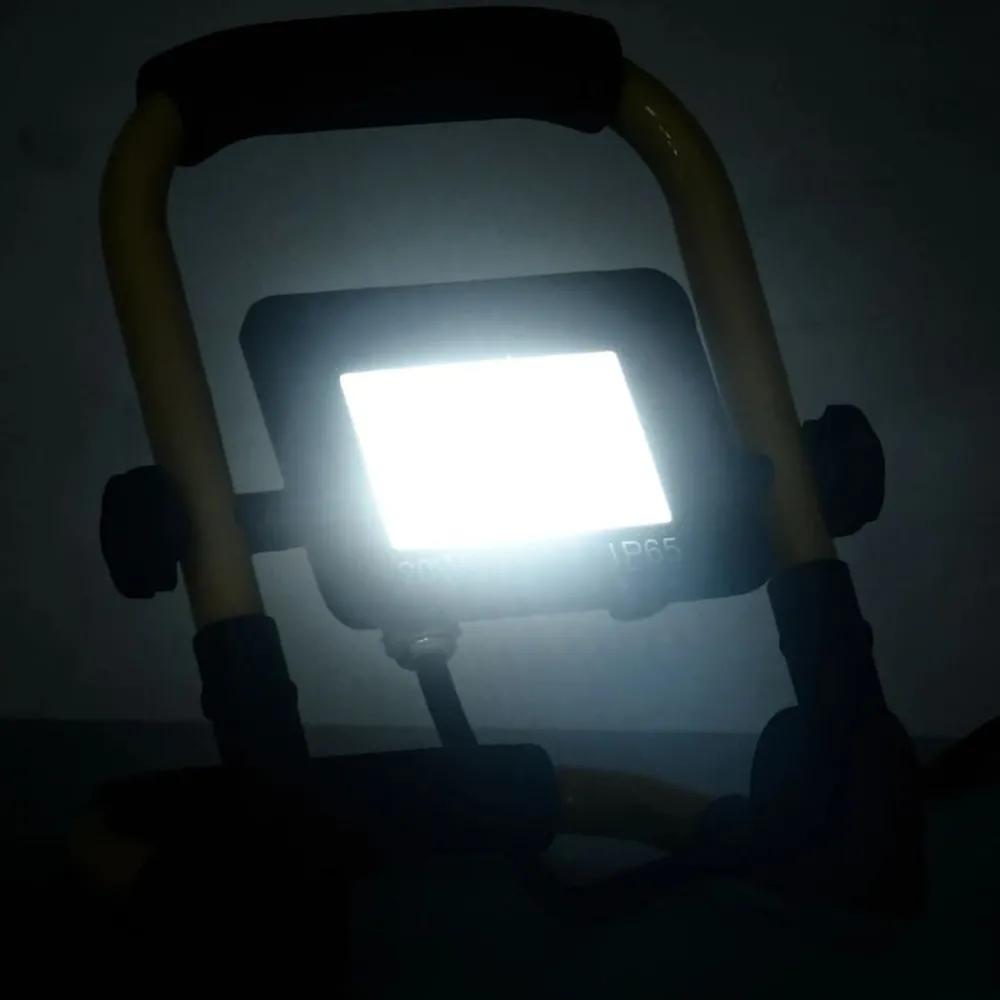 Luminaires-vidaXL Projecteur à LED avec poignée 20 W Blanc froid
