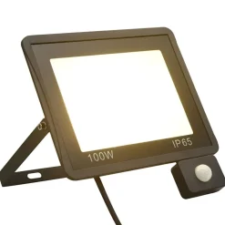 Luminaires-vidaXL Projecteur à LED avec capteur 100 W Blanc chaud