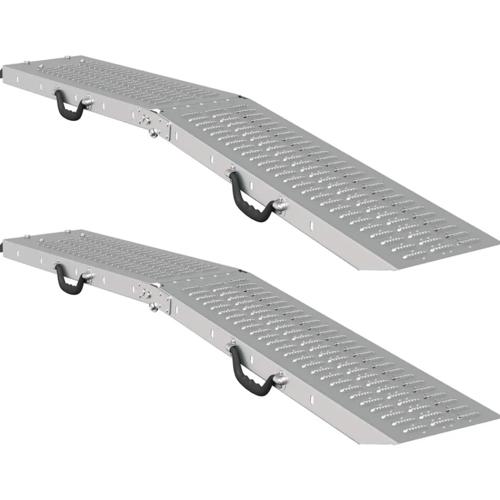 vidaXL Rampe Pliable 200kg par rampe 2 pcs Argenté 166 x 23 x 4,5 cm