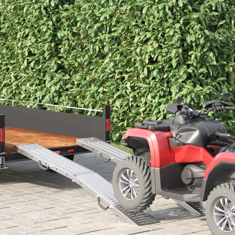 vidaXL Rampe Pliable 200kg par rampe 2 pcs Argenté 166 x 23 x 4,5 cm