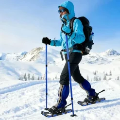 vidaXL Raquettes à neige 3 EN 1 avec bâtons de randonnée et Noir