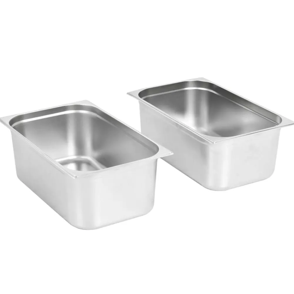 vidaXL Récipients Gastronorm 2 pcs GN 1/1 200 mm Acier inoxydable