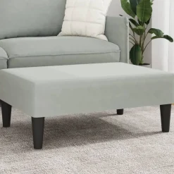 Poufs-vidaXL Repose-pied 77x55x31 cm velours Gris clair