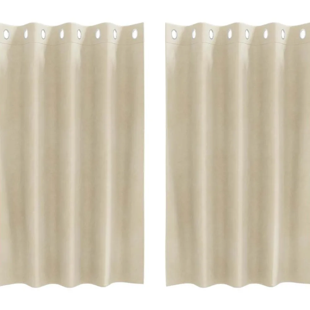 Décorations-vidaXL Rideaux occultants 2 pcs Crème 140 x 140 cm Velours Crème