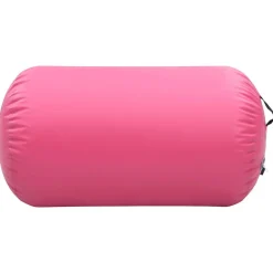 vidaXL Rouleau gonflable de gymnastique avec pompe 100x60 cm PVC