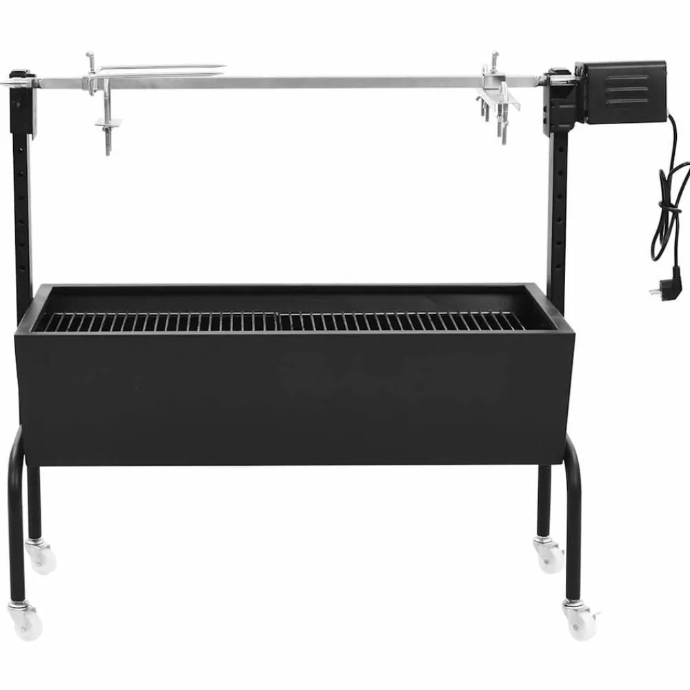 Arts De La Table & Arts Culinaires-vidaXL Rôtissoire pour barbecue électrique Acier inoxydable