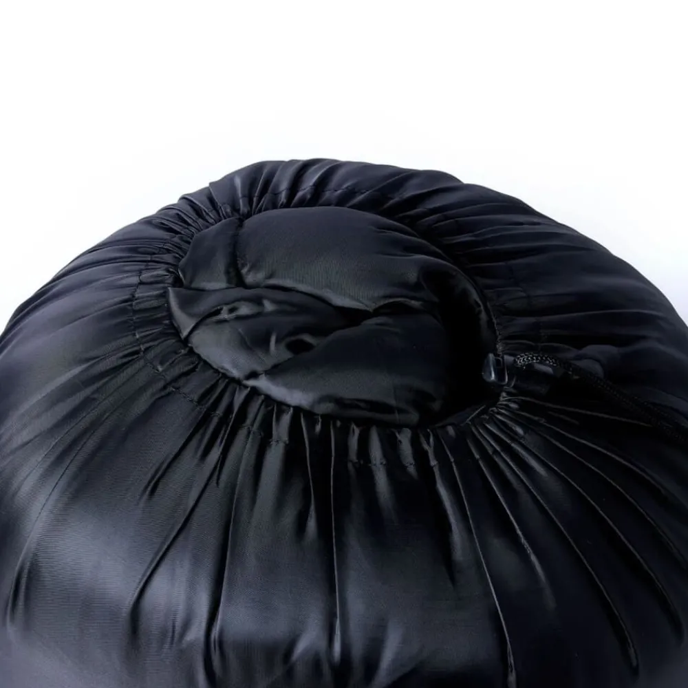 vidaXL Sac de couchage double et oreillers adultes camping 3-4 saisons