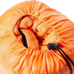 vidaXL Sac de couchage momie pour adultes camping 3 saisons