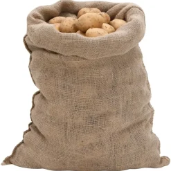 vidaXL Sacs en jute 5 pièces 60x105 cm 100 % jute 220 g/m²