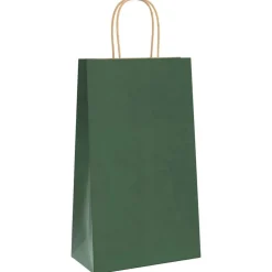 Arts & Loisirs-vidaXL Sacs en papier 50 pcs avec poignées 21x11x36 cm Vert