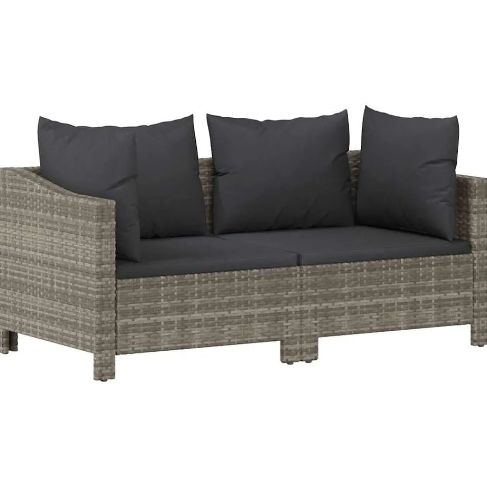 Mobilier De Jardin-vidaXL Salon de jardin 2 pièces avec coussins en polyrotin gris