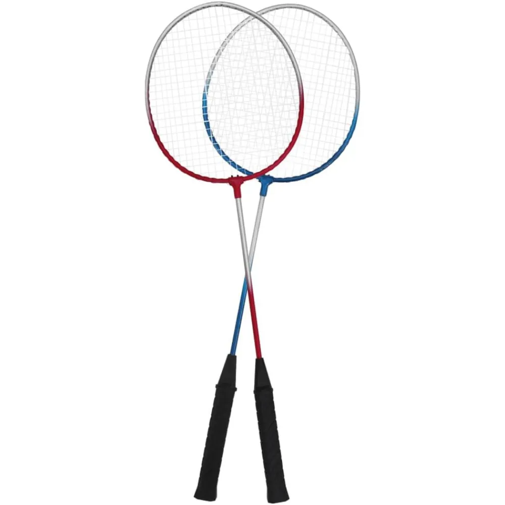 vidaXL Set de badminton avec 4 raquettes et filet 620x151 cm