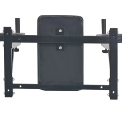 vidaXL Station de fitness murale noire
