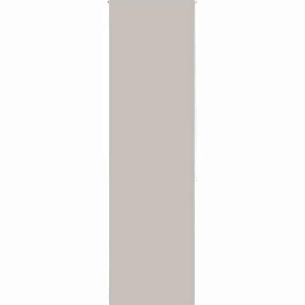 Décorations-vidaXL Store enrouleur de douche 60x240 cm largeur du tissu 56 cm Gris clair