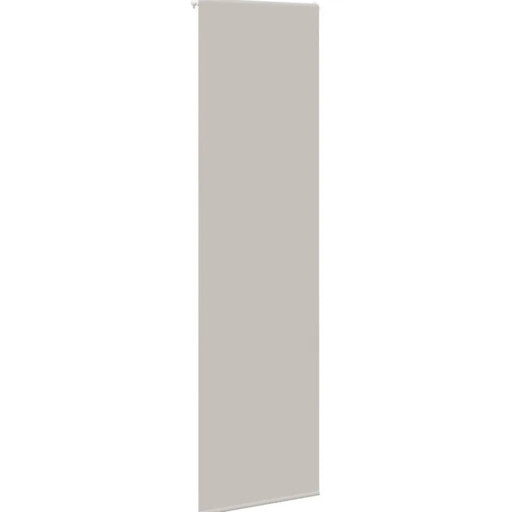 Décorations-vidaXL Store enrouleur de douche 60x240 cm largeur du tissu 56 cm Gris clair