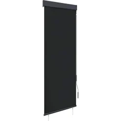 vidaXL Store roulant d'extérieur 60 x 250 cm