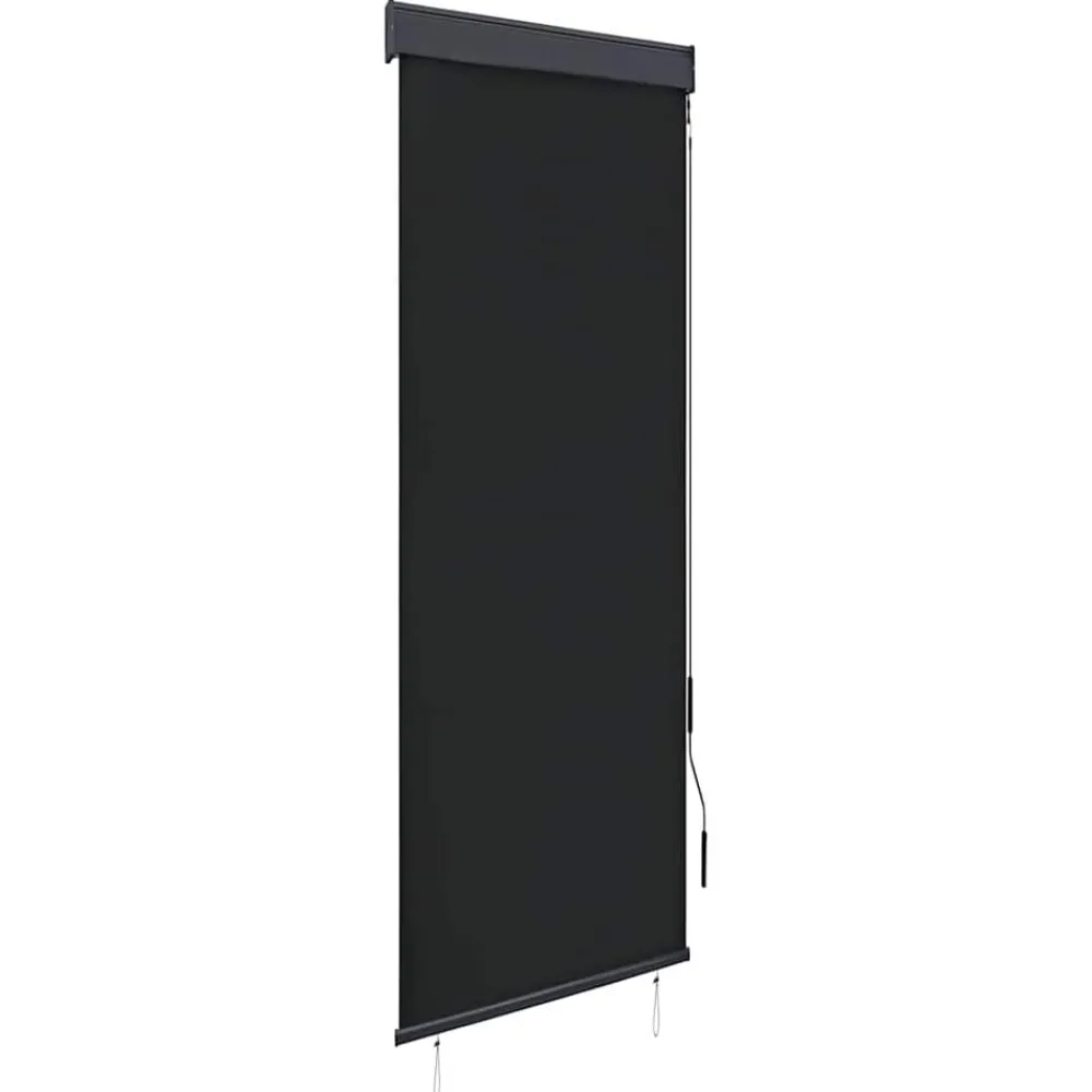 vidaXL Store roulant d'extérieur 60 x 250 cm