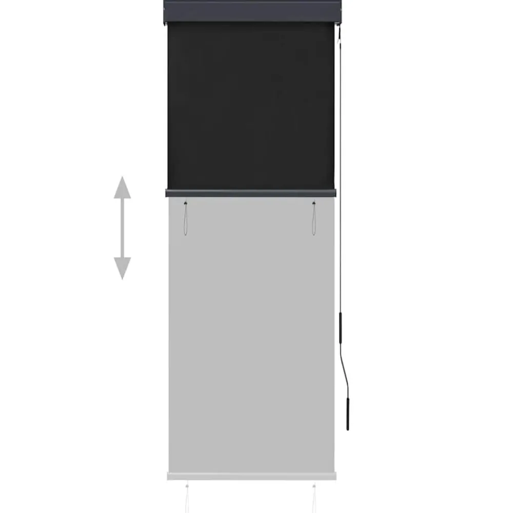 vidaXL Store roulant d'extérieur 60 x 250 cm