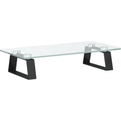 vidaXL Support de moniteur 40x20x8 cm verre trempé et métal