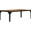 Tables-vidaXL Table basse Bois massif de manguier brut et acier 110 cm