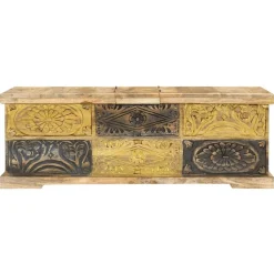 Tables-vidaXL Table basse 100x50x35 cm Bois de manguier massif
