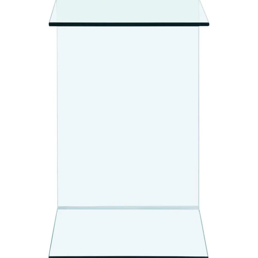 vidaXL Table d'appoint 40x40x60 cm Verre trempé