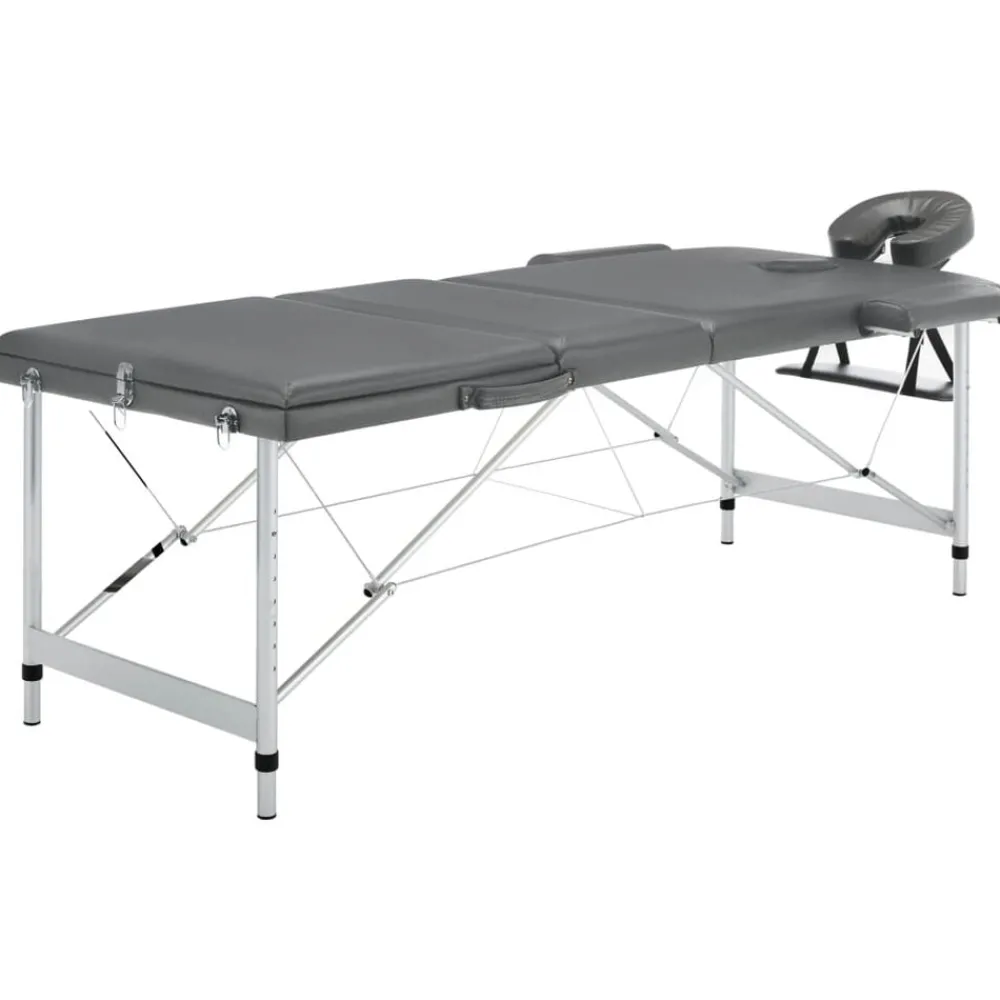 Santé & Beauté-vidaXL Table de massage 3 zones Cadre en aluminium 186x68cm Anthracite