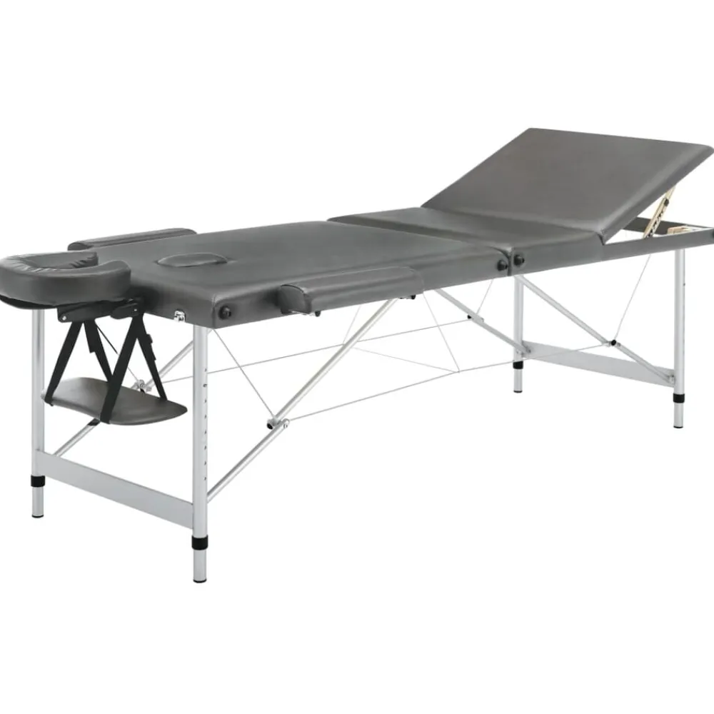 Santé & Beauté-vidaXL Table de massage 3 zones Cadre en aluminium 186x68cm Anthracite