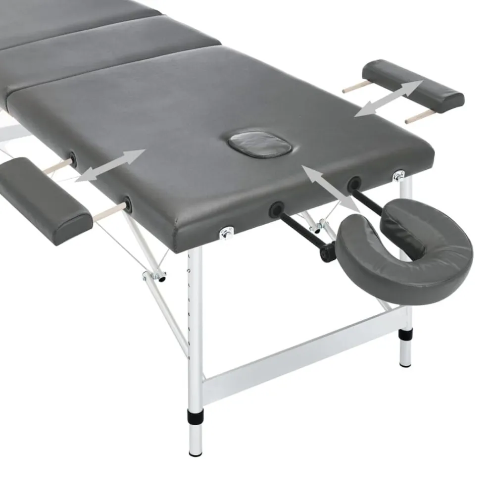 Santé & Beauté-vidaXL Table de massage 3 zones Cadre en aluminium 186x68cm Anthracite