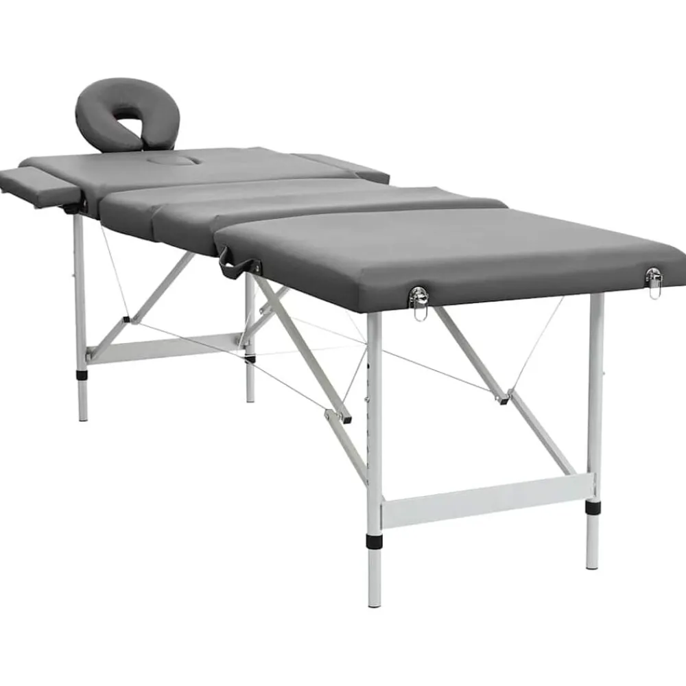 vidaXL Table de massage 4 zones Cadre en aluminium 186x68cm
