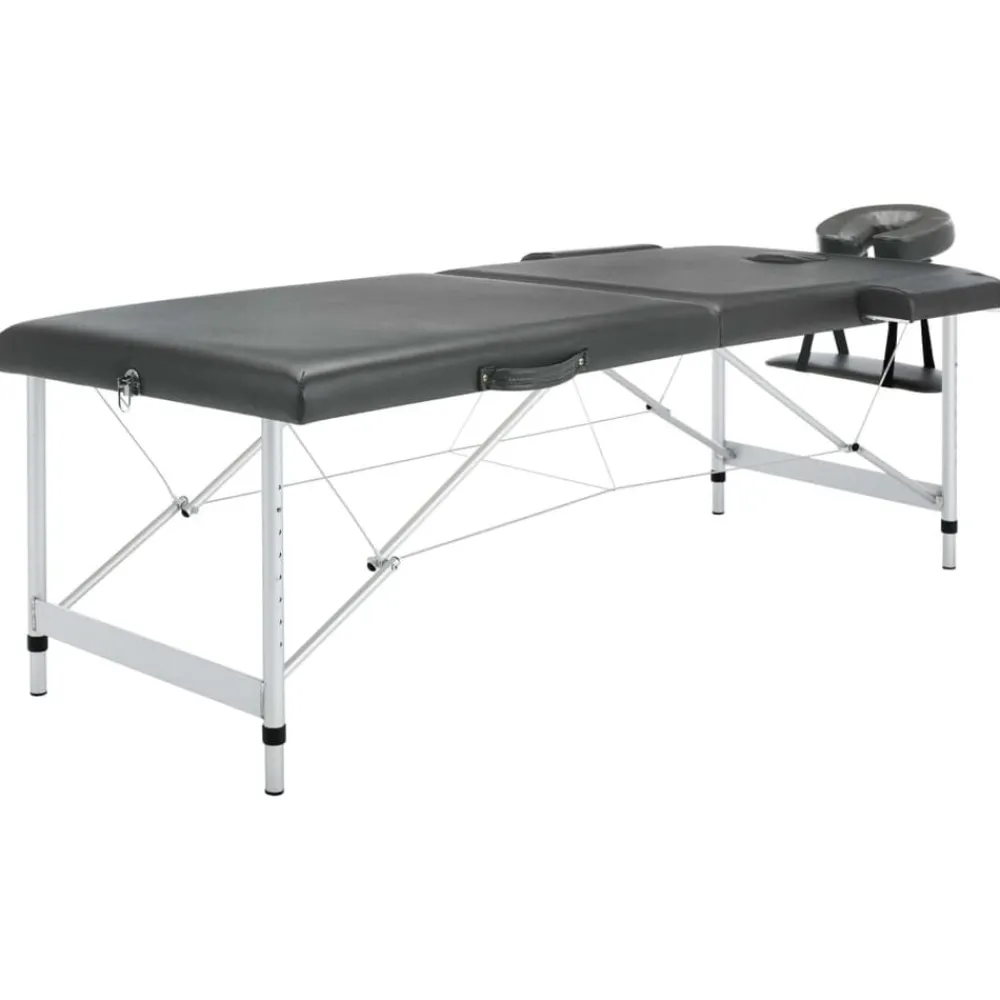 vidaXL Table de massage 2 zones Cadre en aluminium 186x68cm