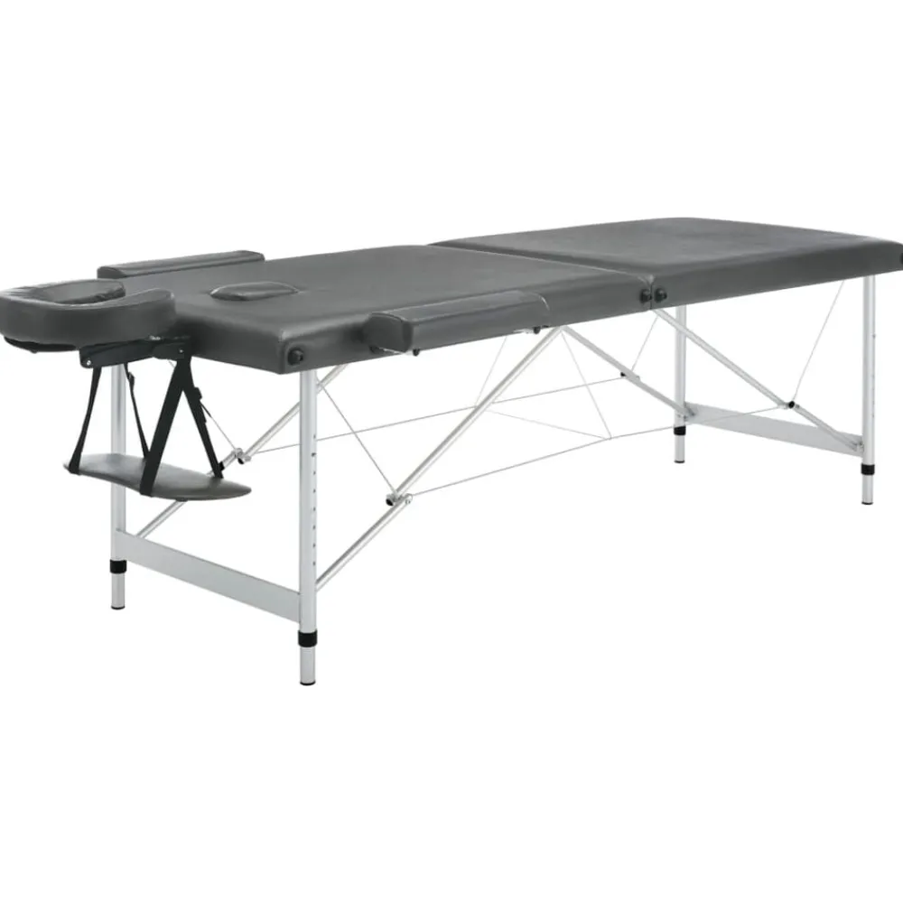 vidaXL Table de massage 2 zones Cadre en aluminium 186x68cm