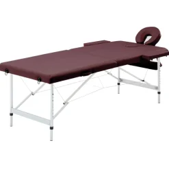 vidaXL Table de massage pliable 2 zones Aluminium