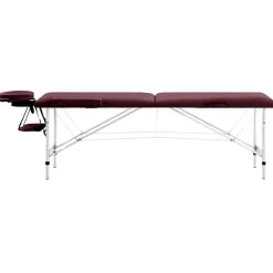 vidaXL Table de massage pliable 2 zones Aluminium