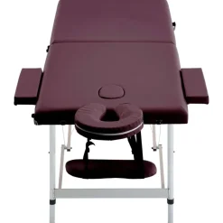 vidaXL Table de massage pliable 2 zones Aluminium