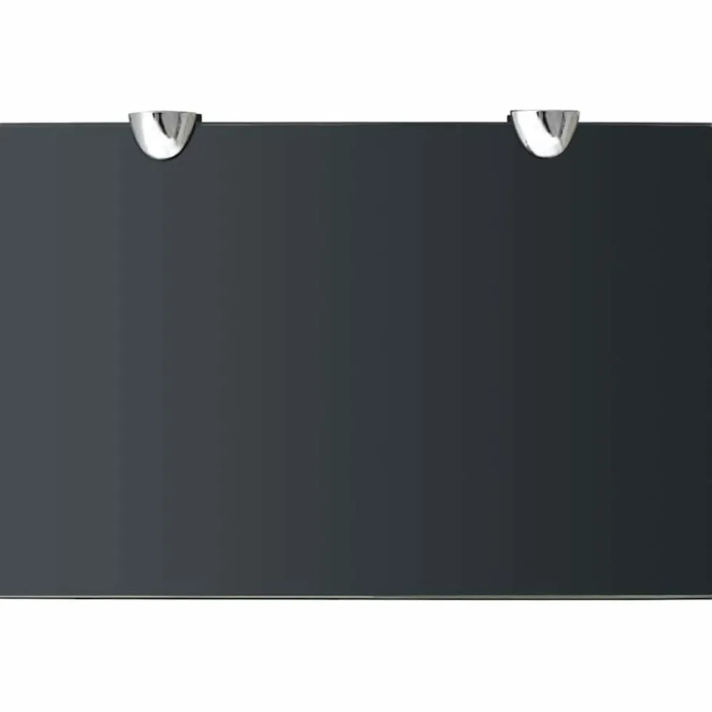 vidaXL Étagère murale en verre 30 x 20 cm 8 mm