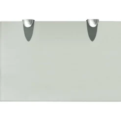 vidaXL Étagère murale en verre 30 x 20 cm 8 mm