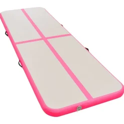 vidaXL Tapis gonflable de gymnastique avec pompe 300x100x10cm PVC