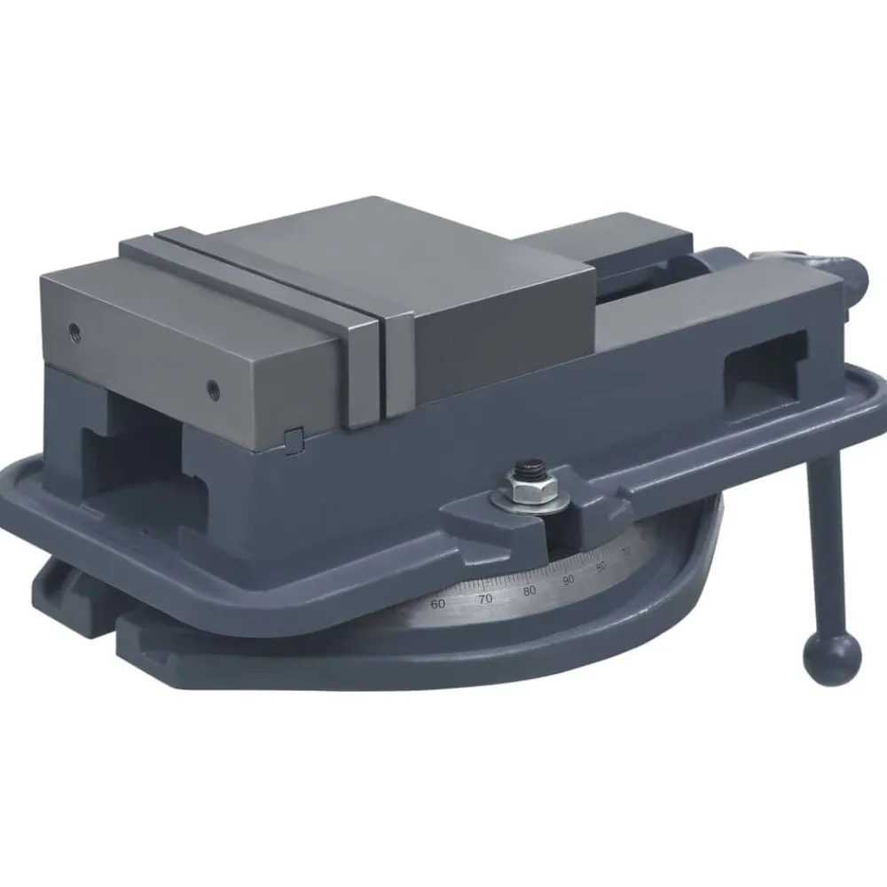 vidaXL Étau à table tournante Fonte 160 mm