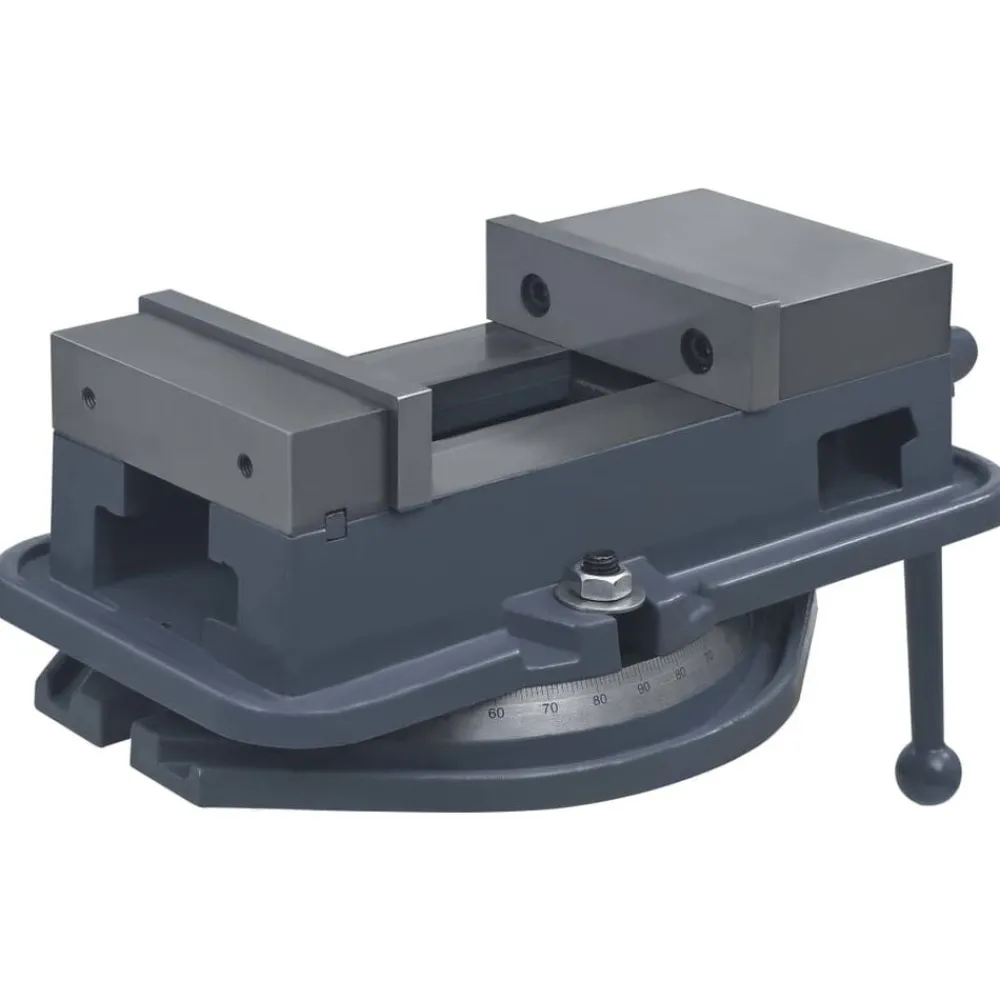 vidaXL Étau à table tournante Fonte 160 mm