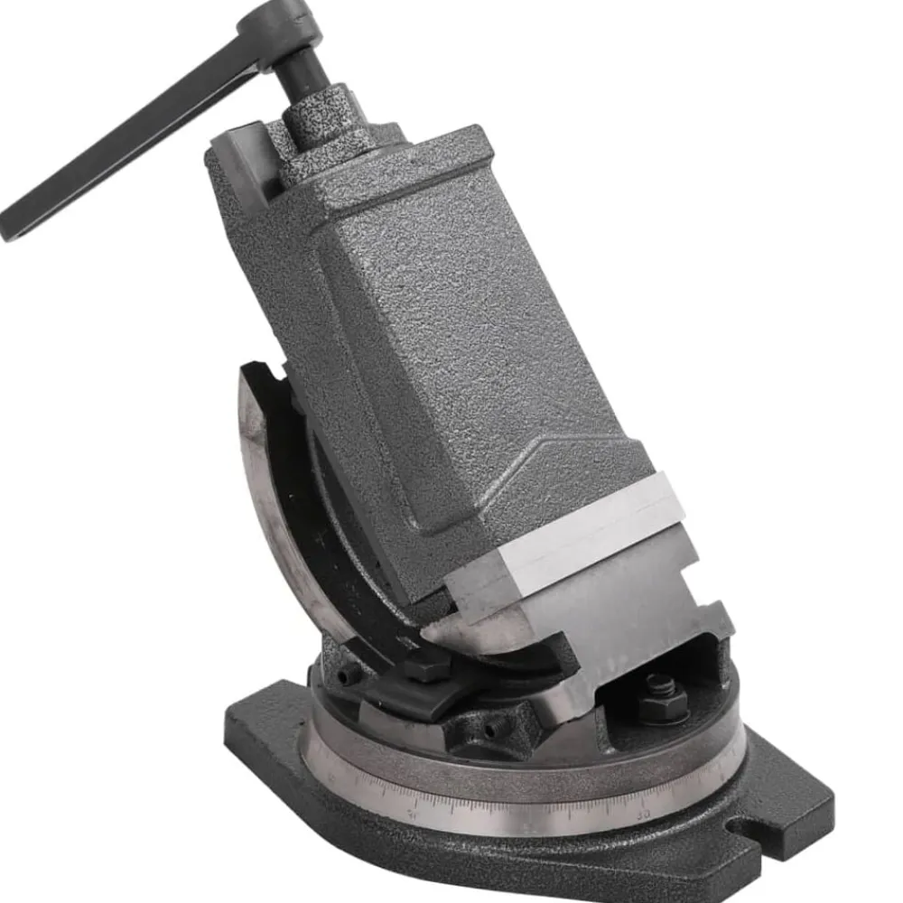 Outils-vidaXL Étau inclinable à 2 axes 100 mm