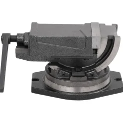 Outils-vidaXL Étau inclinable à 2 axes 100 mm